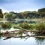 river nature