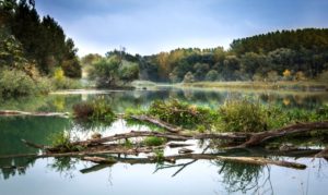 river nature
