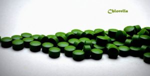 Chlorella