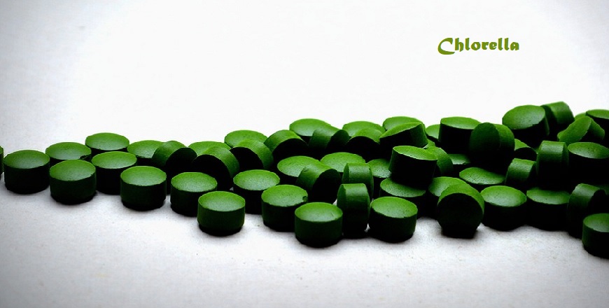Chlorella