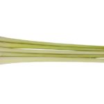 Citronela