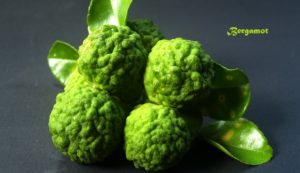 bergamot