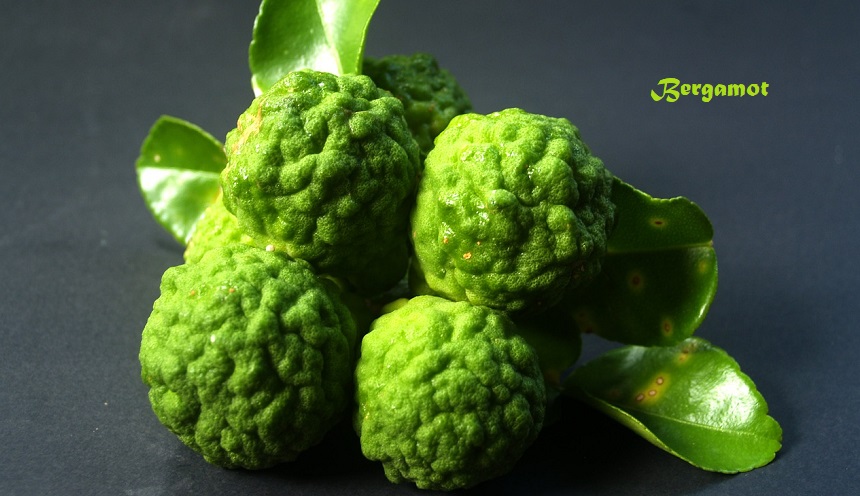 bergamot
