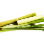 Lemongrass
