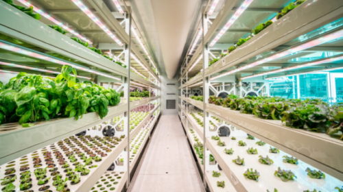 GreenTech