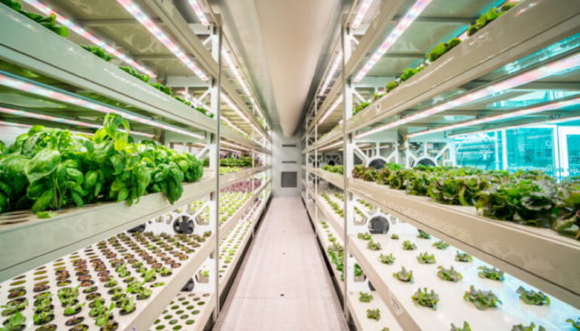 GreenTech