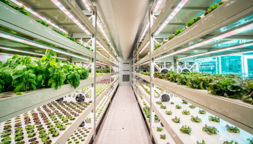 GreenTech
