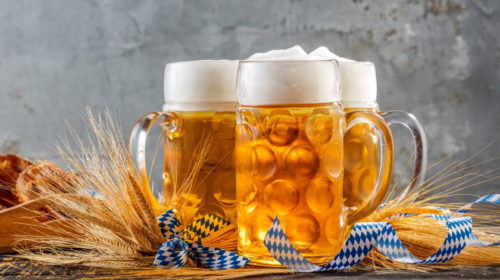 pivo zdraví výzkum
