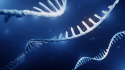 RND DNA molekuly medicína