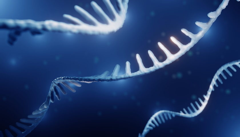 RND DNA molekuly medicína