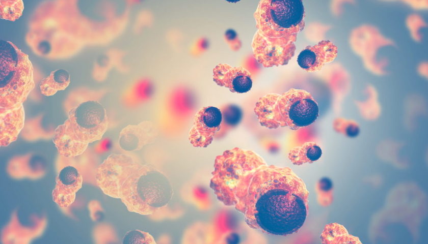 leukémie DNA T-lymfocyty