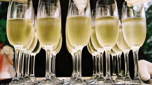 alkohol studie zdraví