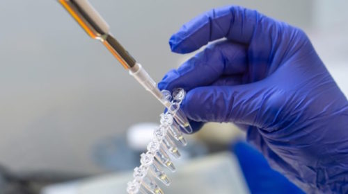 DNA genom věda