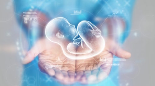 embryo hologram