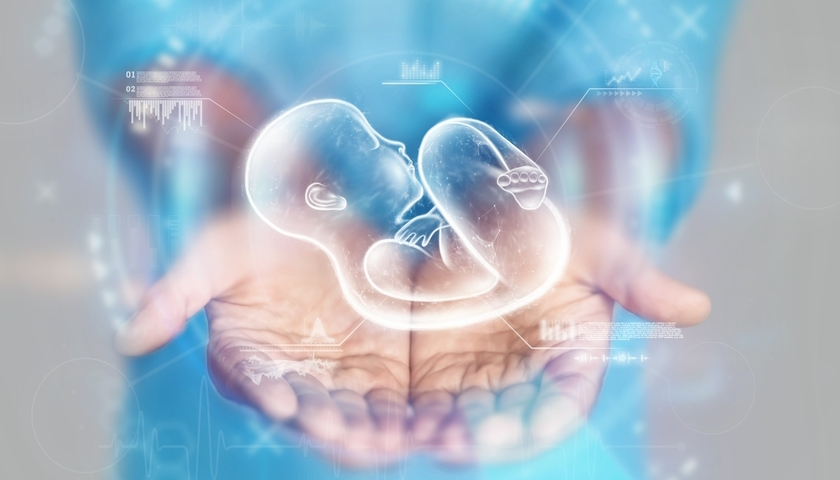 embryo hologram