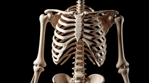 Prevence osteoporózy a zdraví kostí